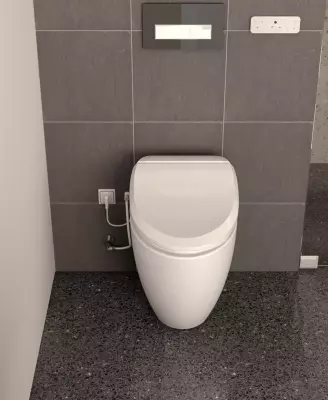 Abattant wc outlet handicapé