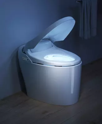 Toilette japonaise WC japonais intelligent Salle de bains