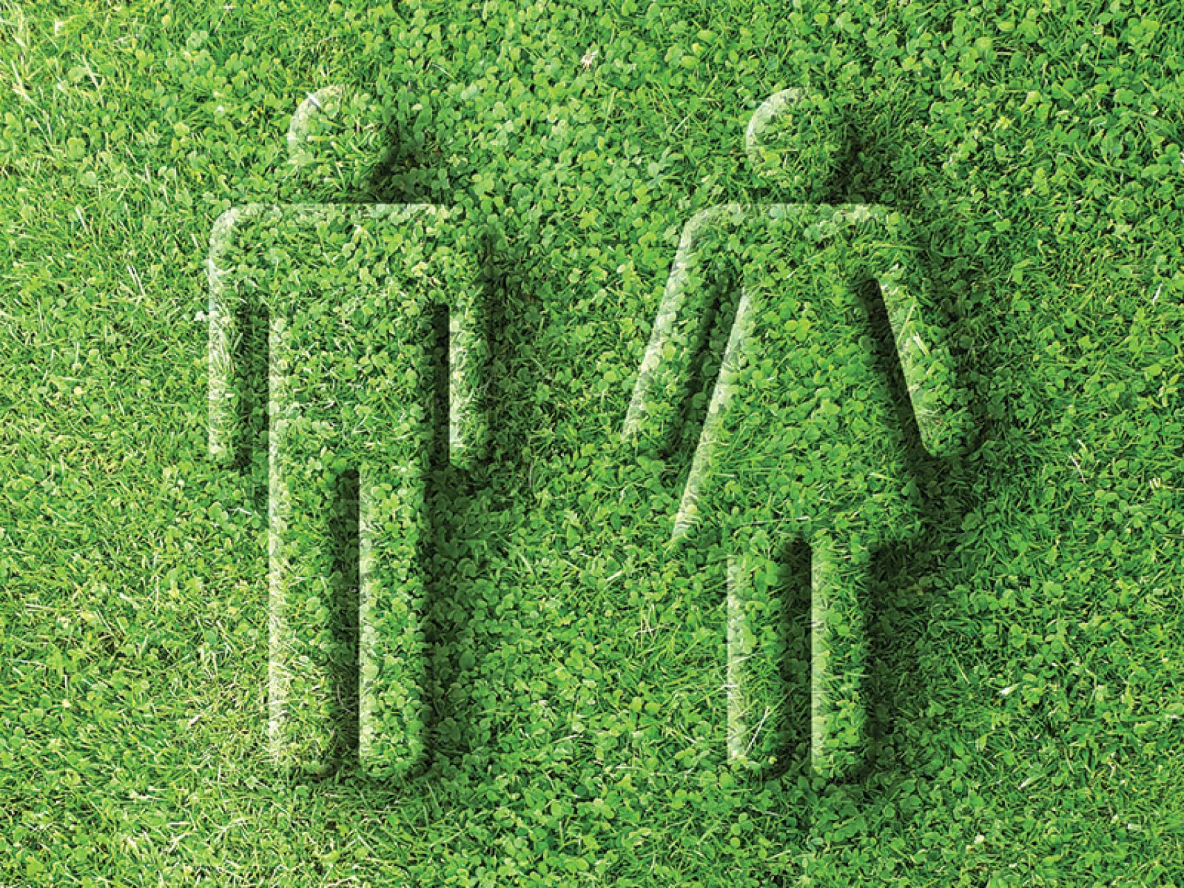 Toilettes : quelles sont les alternatives écologiques